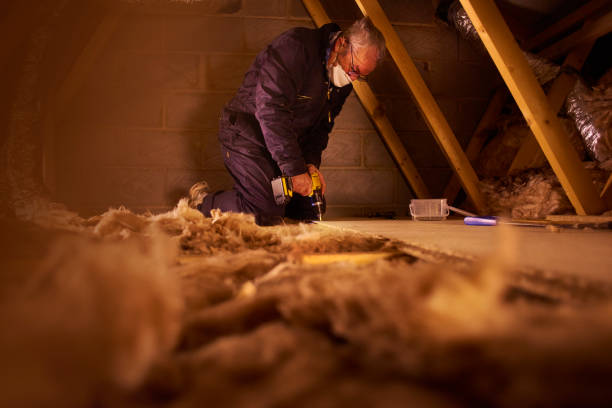 Best DIY Insulation Kits and Guidance in Sheffield, IA